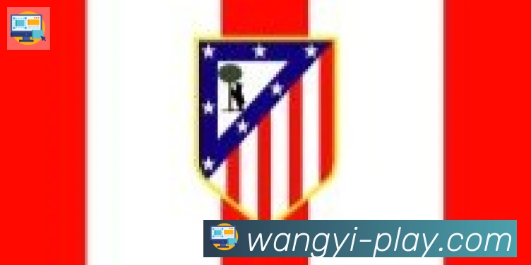 网易体育合作伙伴